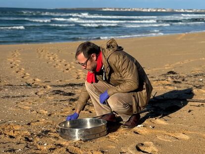 El investigador Ricardo Beiras recoge 'pellets' en una playa de Galicia.