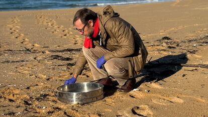 El investigador Ricardo Beiras recoge 'pellets' en una playa de Galicia.