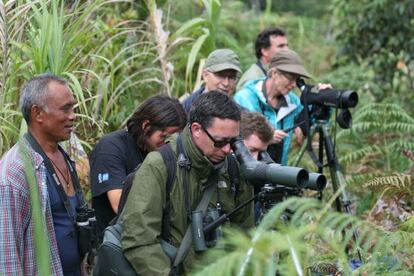 José Luis Copete, en e centro, en una observación de aves en Filipinas