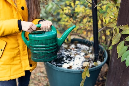 El mejor aparato de medida para saber la cantidad de agua que necesitan las plantas es el ojo y la experiencia de la persona que las cuida. 