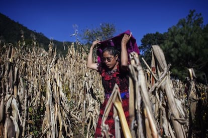 María Isabel Can, de 37 años, es miembro de la Comisión de Agua para controlar el consumo de los hogares gracias a un nuevo sistema de bombeo.