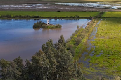 Fotografía de lagunas inundadas de agua en las inmediaciones de Doñana junto a la Dehesa de Abajo en Sevilla.