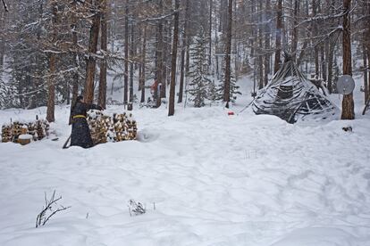 La vida en la taiga es muy dura, sobre todo durante el invierno.