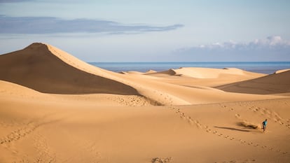 Dunas de la playa de Maspalomas, en la isla de Gran Canaria.