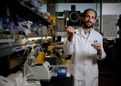 Jorge Alegre Cebollada, quimico seleccionado por la IUPAC, en su laboratorio del CNIC el viernes pasado.