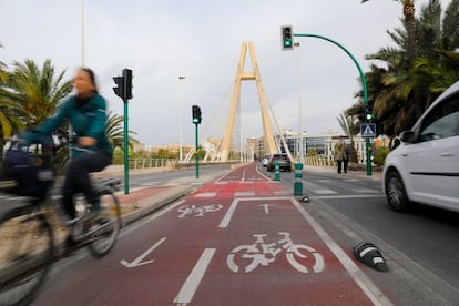 Un carril bici de Elche.