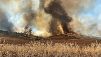 Columna de humo del incendio de cereal y pasto originado en la localidad madrileña de Valdepiélagos.