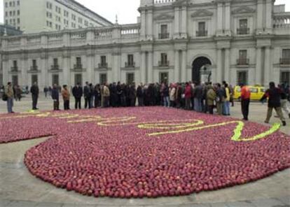 Un corazón realizado con manzanas rojas recordaba ayer, frente al palacio de la Moneda, el centenario del nacimiento de Neruda.