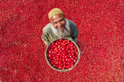 Un trabajador posa en medio de un mar de patatas rojas que han sido lavadas y clasificadas en el mercado de verduras de Shibganj Upazila, en Bangladés.