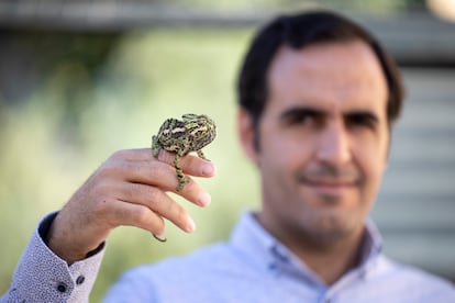 Joaquín Santaolalla con un camaleón en el Centro de Recuperación del Camaleón del Ayuntamiento de Málaga