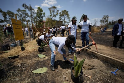 Una voluntaria cava un hoyo para plantar durante en la Universidad Tecnológica de Nezahualcóyotl.