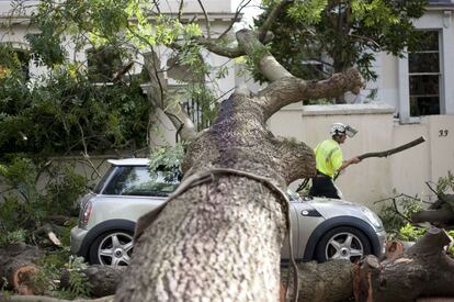 Un operario trabaja para retirar un &aacute;rbol ca&iacute;do sobre un coche en Londres debido al temporal. 