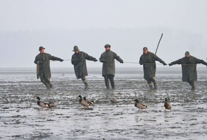 Pescadores participan en la captura tradicional de pescado en el estanque del castillo en Jaroslavice, Moravia del Sur. La pesca anual se lleva a cabo a principios de noviembre. La carpa es una cena de pescado tradicional en la víspera de Navidad en la República Checa.