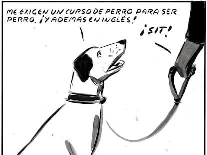 El Roto
