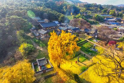 Las academias neoconfucianas (‘seowon’ en coreano) son uno de los grandes patrimonios culturales de Corea del Sur. Se construyeron a lo largo de los siglos XVI y XVII para que los académicos estudiaran y se cultivaran según los principios confucianos. Hay muchas repartidas por toda la geografía coreana, pero la Unesco ha reconocido especialmente nueve —Sosu Seowon, Namgye Seowon, Oksan Seowon, Dosan Seowon, Piram Seowon, Dodong Seowon, Byeongsan Seowon, Museong Seowon y Donam Seowon—, todas ellas ubicadas en lugares cercanos a paisajes montañosos y fuentes de agua.