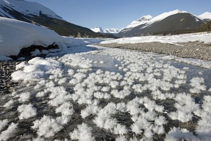 En ocasiones los desiertos florecen. También los gélidos desiertos de la Antártida o el Ártico, solo que allí las flores son blancas y de hielo, un fenómeno natural habitual en los mares polares (la sal marina actúa como un catalizador facilitando su formación), aunque también se da en otras latitudes. Se produce cuando el agua que hay bajo una capa superficial de hielo se evapora y escapa por las fisuras de este; si la temperatura exterior es suficientemente baja, el vapor de agua se sublima (pasa directamente del estado gaseoso a sólido) cristalizando en forma de delicadas plumas o flores blancas. Las de la foto cubren un arroyo helado en Graveyard Flats, un valle de las Montañas Rocosas en el Estado de Alberta, al oeste de Canadá. Se accede desde Calgary; con Delta (www.delta.com), desde 621 euros. / Isidoro Merino