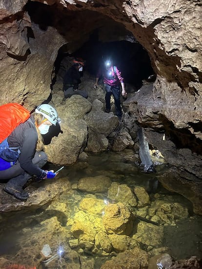 Investigadores buscan peces ciegos en la cueva del Río Subterráneo, en México.
