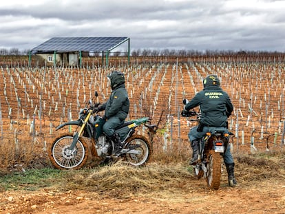 Agentes del Seprona, durante la búsqueda de pozos ilegales para la extracción de agua.