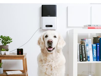 Vigila y cuida a tu mascota desde el smartphone con este gadget