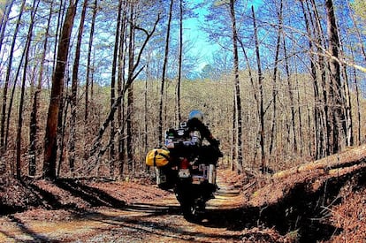 Al pensar en la exploracin espa?ola de Norteamrica se recurre a imgenes de desierto y secarral mexicano, pero los exploradores espa?oles del siglo XVI recorrieron tambin las fras tierras del norte y atravesaron espesos bosques, como el de la imagen, en Georgia. Hernando de Soto, extreme?o, desembarc en Florida en 1539 y realiz una gran exploracin por los actuales estados de Georgia, Carolina del Norte y del Sur, Tennessee, Alabama, Arkansas, Oklahoma, Luisiana, Texas y Misisip, donde descubri el gran ro. Hay quien afirma que, hacia el norte, lleg a la altura del Lago Michigan.