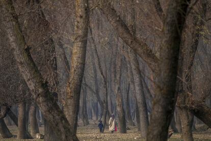 Una niña de Cachemira y su hermano caminan hacia un bosque a las afueras de Srinagar, Cachemira controlada por la India.