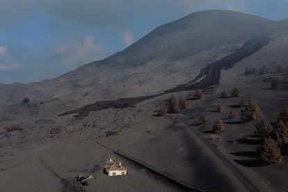 Visa aérea de Las Manchas, en la isla de La Palma, cubierta de lava y cenizas procedentes del volcán Cumbre Vieja, en una imagen tomada el 14 de diciembre de 2021.