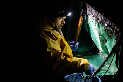 Guardiola recoge las angulas capturadas en la playa de Colunga, Asturias. 