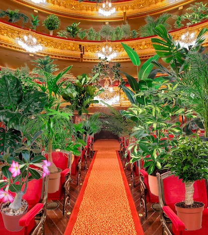 La platea del teatro Liceo con las plantas que ocupan sus butacas como espectadoras de un concierto.