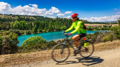 Lagos del sur y Otago Central: locos por el ciclismo en Nueva Zelanda. Los ‘kiwis’ se han vuelto unos fanáticos del ciclismo. Limitados a recorrer el patio trasero de sus casas durante largos meses en la pandemia, ahora pedalean ansiosos por descubrir en toda su extensión su particular paraíso del Pacífico, aprovechando una amplia red de rutas ciclistas. Los lagos del sur y Otago Central (en la foto) son zonas conocidas por sus campos de golf, instalaciones para deportes de invierno y bodegas, pero aquí se pueden practicar también el ciclismo, el senderismo y las excursiones alrededor de los populares enclaves turísticos de los lagos del sur, Queenstown y Wānaka.
En esta región de Nueva Zelanda se están abriendo constantemente nuevas rutas ciclistas, se construyen otras nuevas y hay grandes planes al respecto para el futuro. Los neozelandeses están muy al tanto de todo, pero los visitantes internacionales aún no se han hecho una idea. La Queenstown Trail comprende más de 130 kilómetros de rutas ciclistas; Wānaka tiene bellas rutas lacustres; y Otago Central ve cómo se revitalizan pueblos hasta ahora adormilados, como Clyde, al final del recién inaugurado Lake Dunstan Trail, de 55 kilómetros. Dentro de unos pocos años será posible ir en bici desde Queenstown y Wānaka hasta Dunedin, en la costa este, pasando por Otago Central.