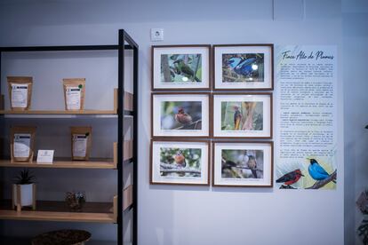 Las paredes del local están decoradas con guiños y apuntes de la cultura local de Santuario, en Colombia, y de la riqueza ambiental de la finca Alto de Plumas. 