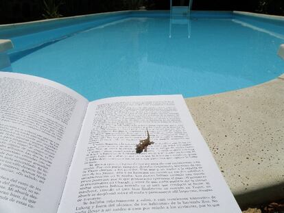 Leyendo cerca del agua, todos buscan el placer de las letras con el del frescor que nos proporciona un buen chapuzón.