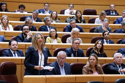 La portavoz popular en el Senado, Alicia García, interviene durante la sesión plenaria del Senado, este martes.
