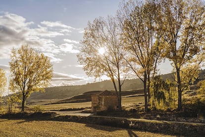 Después de pasar por El Celler de Can Roca, Espai Sucre y La Broche, Samuel Moreno volvió a Guadalajara para tomar las riendas del hotel rural de sus padres.