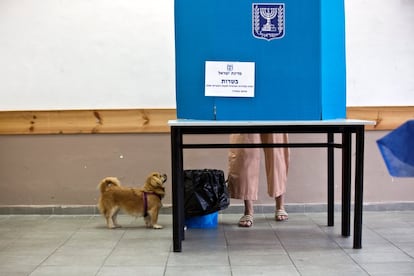 Un perro permanece junto a su dueño mientras este deposita su voto en una cabina, en una mesa electoral en Tel Aviv.