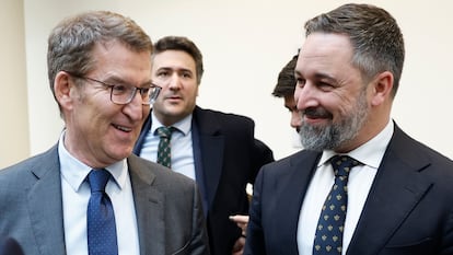 Feijoo y Abascal, en el Senado el pasado enero.