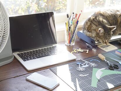 Cocinar con Massimo Bottura, aprender a programar, o a tocar la guitarra: cursos ‘online’ para aprovechar la cuarentena