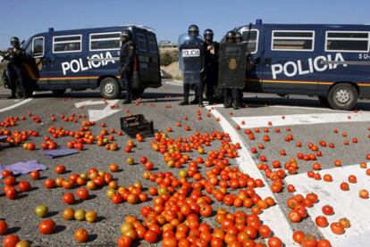 Tomates tirados ante unos furgones de policía en la autovía A-7 a la altura de Níjar (Almería).