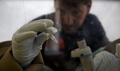Un científico del laboratorio móvil europeo en Gueckedou (Guinea) prepara una muestra para identificar el Ébola.