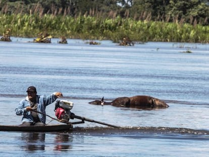 Un hombre en las inundaciones al noroeste de Bolivia