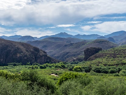 Sierra Madre Occidental en Sonora (México), agosto de 2019