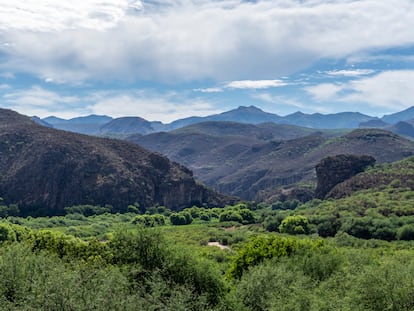 Vista de los alrededores del poblado de Bacanuchi, Sonora, donde se encuentran los yacimientos de litio aún sin explotar.