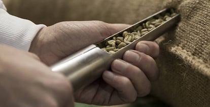 En el cinturón cafetero del planeta Prosol compra el grano en origen. 