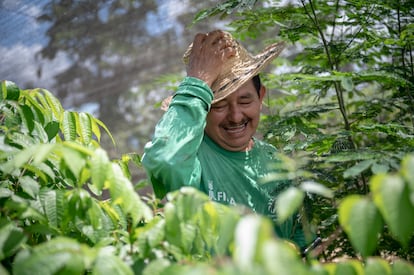 'Chaparro', viverista del Semillero de Paz de Doncello, el 23 de abril de 2025.