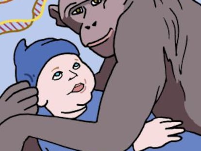 Mejor parecerse al bonobo