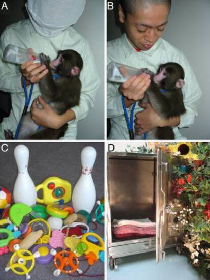 Im&aacute;genes de las condiciones de un experimento similar de hace una d&eacute;cada.