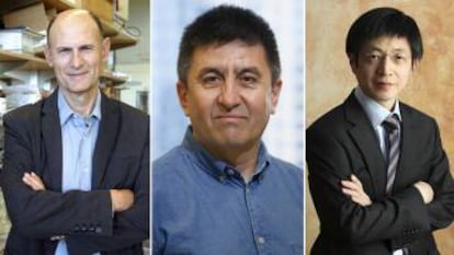 De izquierda a derecha, Izpisúa, Mitalipov y Kim.