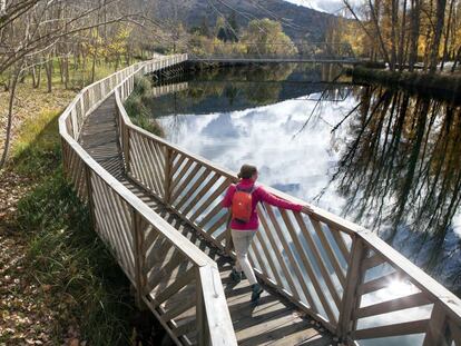Una de las pasarelas que bordea el río Duero a su paso por la provincia de Soria. 