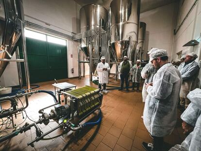 Instalaciones de la cooperativa San Vicente de Mogón, en Jaén.