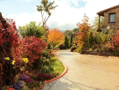 En los Jardines del Robledo se pueden ver 450 especies de plantas en el año.