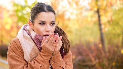 Artículo de EL PAÍS Escaparate que describe este calentador de manos recargable en oferta por Black Friday